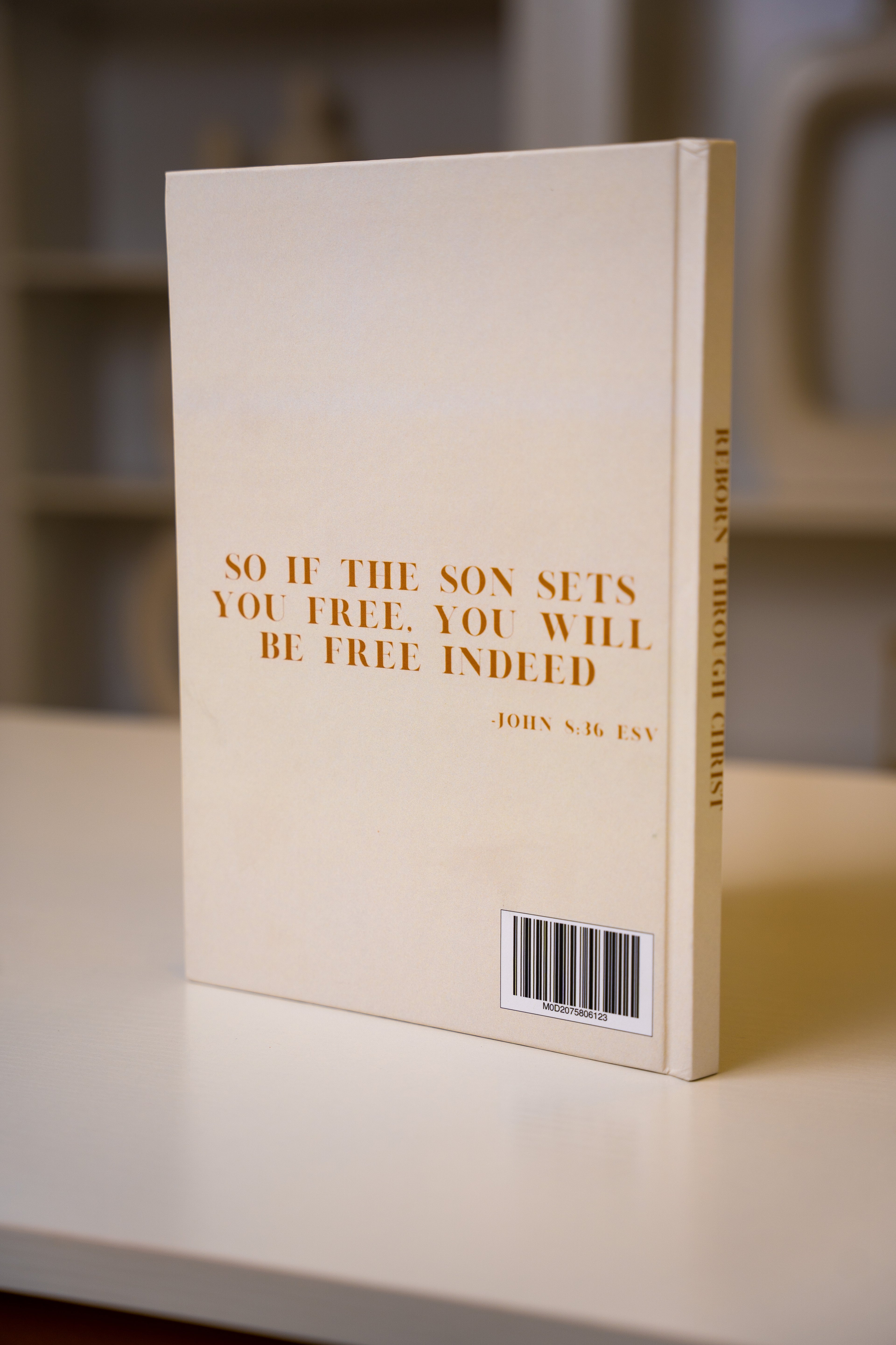 Shackles To Wings, Reborn Through Christ Guided Journal